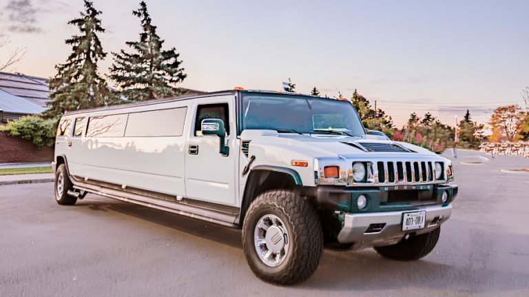 50 Passenger Party Bus Project (2)