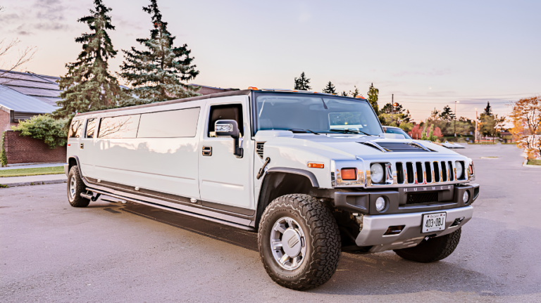 50 Passenger Party Bus Project (3)