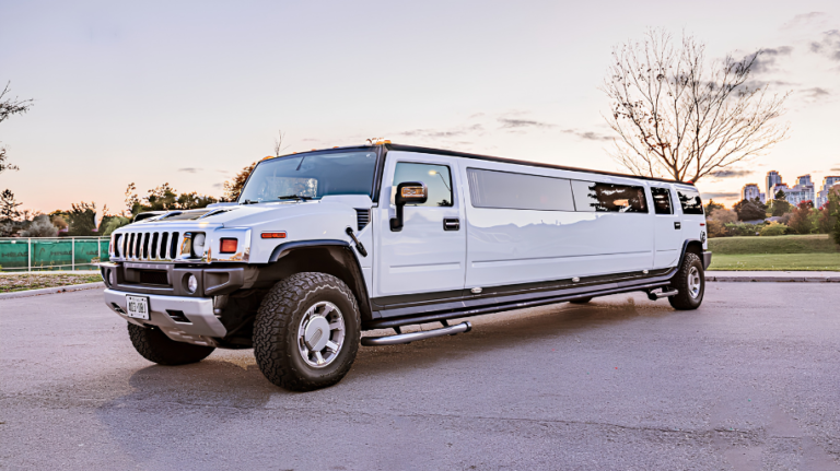 50 Passenger Party Bus Project (4)