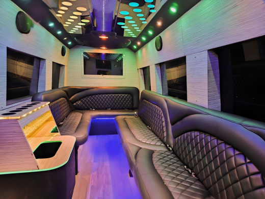 Mercedes limo Sprinter (3)